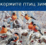 «Покормите птиц!» - Онежский муниципальный район