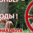 Незаконная охота - Онежский муниципальный район