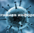 Оперативно: в Поморье 2301 человек проходят лечение от COVID-19, 5683 - уже поправились - Онежский муниципальный район