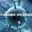 В Поморье 1816 человек проходят лечение от COVID-19, 6312 - уже поправились - Онежский муниципальный район