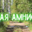 В Кадастровой палате рассказали, как работает закон о лесной амнистии в регионе - Онежский муниципальный район