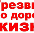 Трезвый водитель - Сетевое издание Онега
