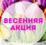 Онлайн-акция #МилымЖенщинам - Онежский муниципальный район