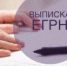 Эксперты Кадастровой палаты рассказали, как быстро получить выписку из ЕГРН - Онежский муниципальный район