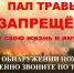 Фото из сети Интернет - Сетевое издание Онега