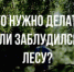 Что делать, если заблудился в лесу - Онежский муниципальный район