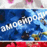 Северян приглашают к участию в онлайн-акциях, посвященных Дню Государственного флага РФ - Сетевое издание Онега