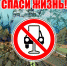 Спаси жизнь! Сообщи о пьяном водителе - Сетевое издание Онега
