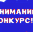 Фотоконкурс «Не скучаю вместе с папой» - Онежский муниципальный район