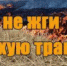Пал сухой травы и отдых на природе - Онежский муниципальный район