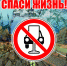 Госавтоинспекция напоминает: сообщить о нетрезвом водителе можно по номеру 112 - Сетевое издание Онега