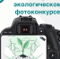 Северян приглашают к участию в фотоконкурсе «#ЯБерегу» - Сетевое издание Онега