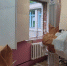 В Онежской ЦРБ продолжается ремонт поликлиники - Сетевое издание Онега