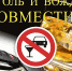В Онежском районе возбуждено уголовное дело в отношении нетрезвого водителя - Сетевое издание Онега