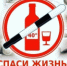 Профилактическое мероприятие «Трезвый водитель» - Онежский муниципальный район