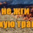 Пал травы запрещён законом! За поджог предусмотрены штрафы - Онежский муниципальный район