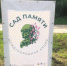 Приглашаем принять участие в продолжении акции «Сад памяти» - Онежский муниципальный район
