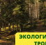 Где в Онеге можно погулять туристам - Сетевое издание Онега