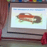Игра-квиз "Бабушки и внуки" - Онежский муниципальный район