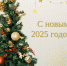 Поздравление с Новым годом от администрации муниципального образования "Онежский муниципальный район" - Сетевое издание Онега