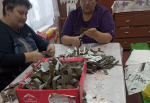 В Устьянском округе не прекращается поддержка участников СВО со стороны местных активистов