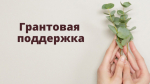 О мерах финансовой господдержки .