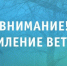 Усиление ветра. - Онежский муниципальный округ