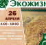 Экологический фестиваль «Экожизнь». - Онежский муниципальный округ