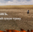В Архангельской области сотрудники МЧС проводят рейды, направленные на профилактику и выявление нарушений противопожарных правил - Сетевое издание Онега