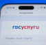 Договор аренды жилья можно подписать через Госуслуги - Сетевое издание Онега
