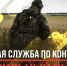 Северян приглашают на военную службу по контракту - Сетевое издание Онега
