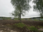  В п. Маложма завершены работы по разборке аварийных домов.