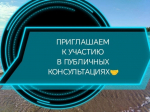 Проведение публичных консультаций.